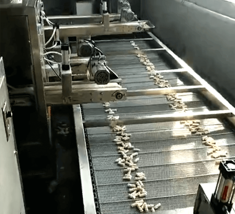 XX食品厂800斤/小时 生产视频